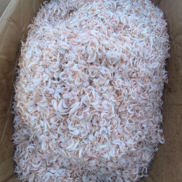 虾皮500克一包