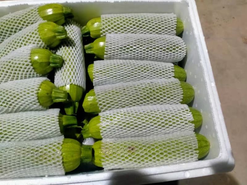 西葫芦绿皮西葫芦上市中，品质好，价格优，各种蔬菜瓜果供应