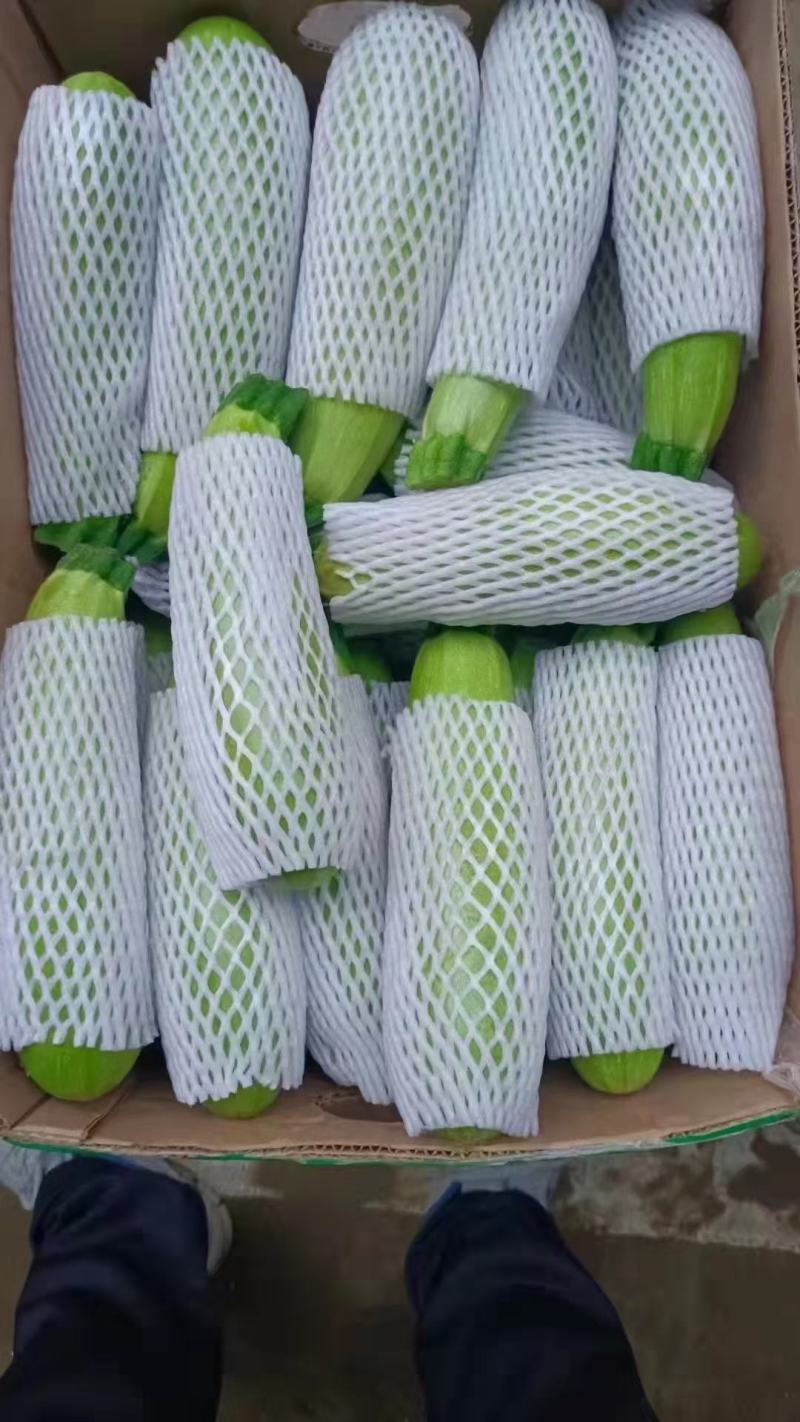 西葫芦绿皮西葫芦上市中，品质好，价格优，各种蔬菜瓜果供应