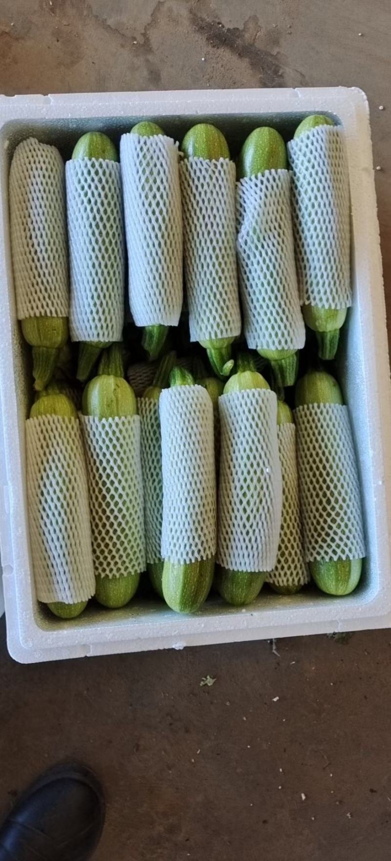 西葫芦绿皮西葫芦上市中，品质好，价格优，各种蔬菜瓜果供应