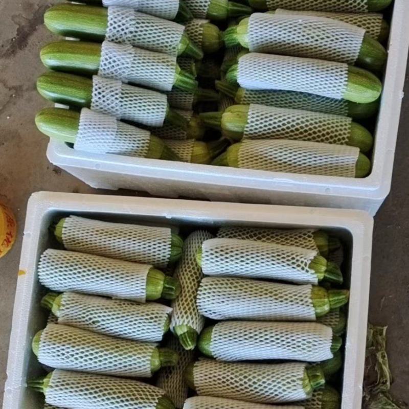 西葫芦绿皮西葫芦上市中，品质好，价格优，各种蔬菜瓜果供应