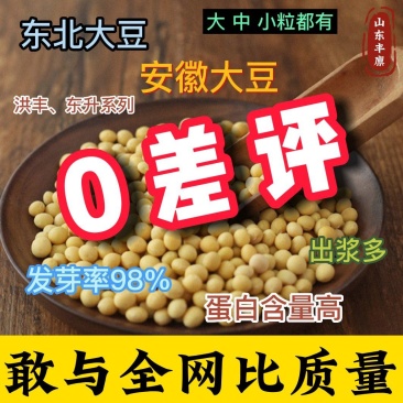 大豆安徽黄豆东北黄豆东升系列690黄芽豆