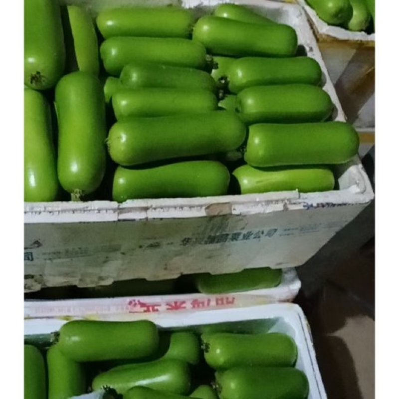 【力荐】瓠瓜20~30cm5cm以下货源足服务好