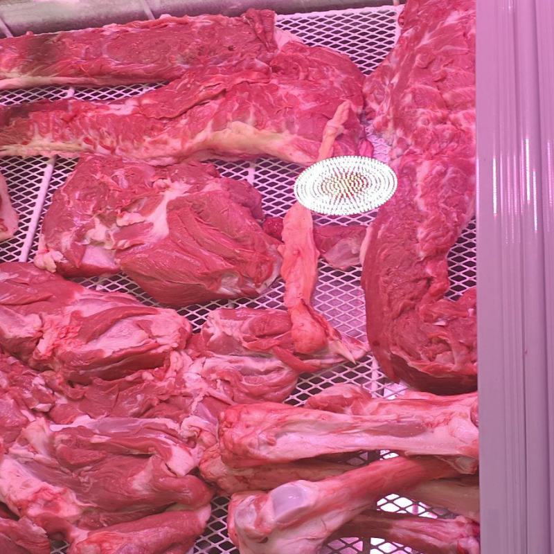 新鲜羊肉