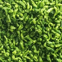 鲜辣椒