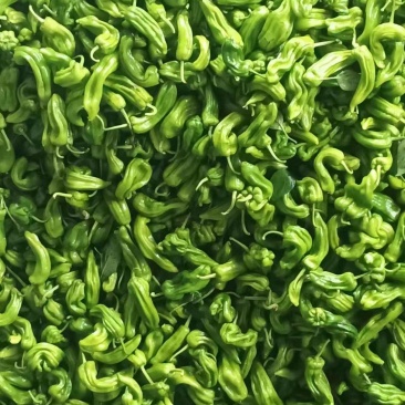 鲜辣椒
