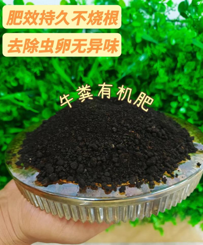 纯牛粪发酵生物有机肥
