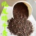 纯牛粪发酵生物有机肥