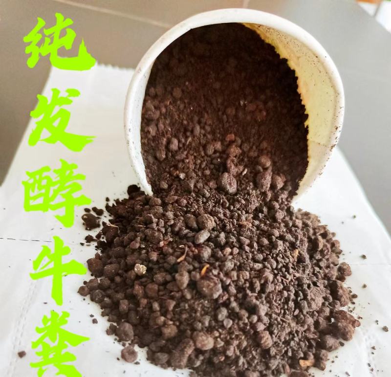 纯牛粪发酵生物有机肥