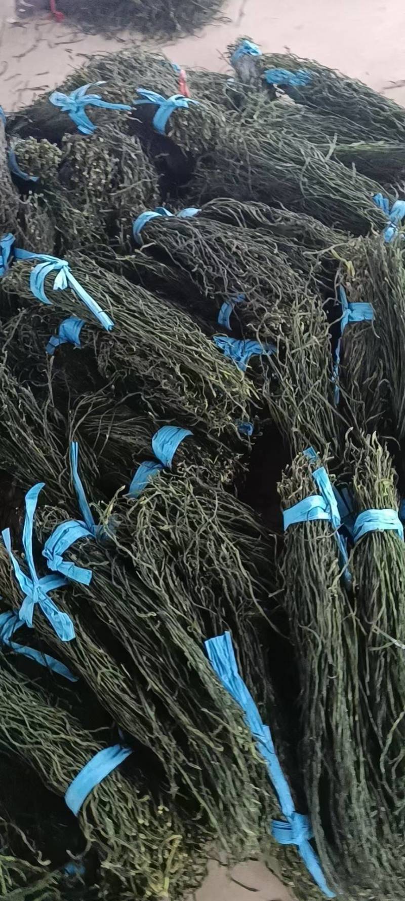 精品干豆角产地一手货源价格便宜欢迎咨询