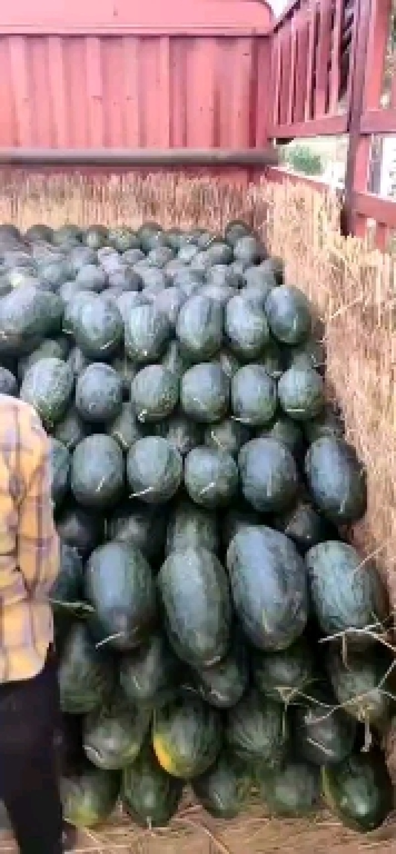 黑美人西瓜，量大，电商货，五斤打底，质量保证，价格优，