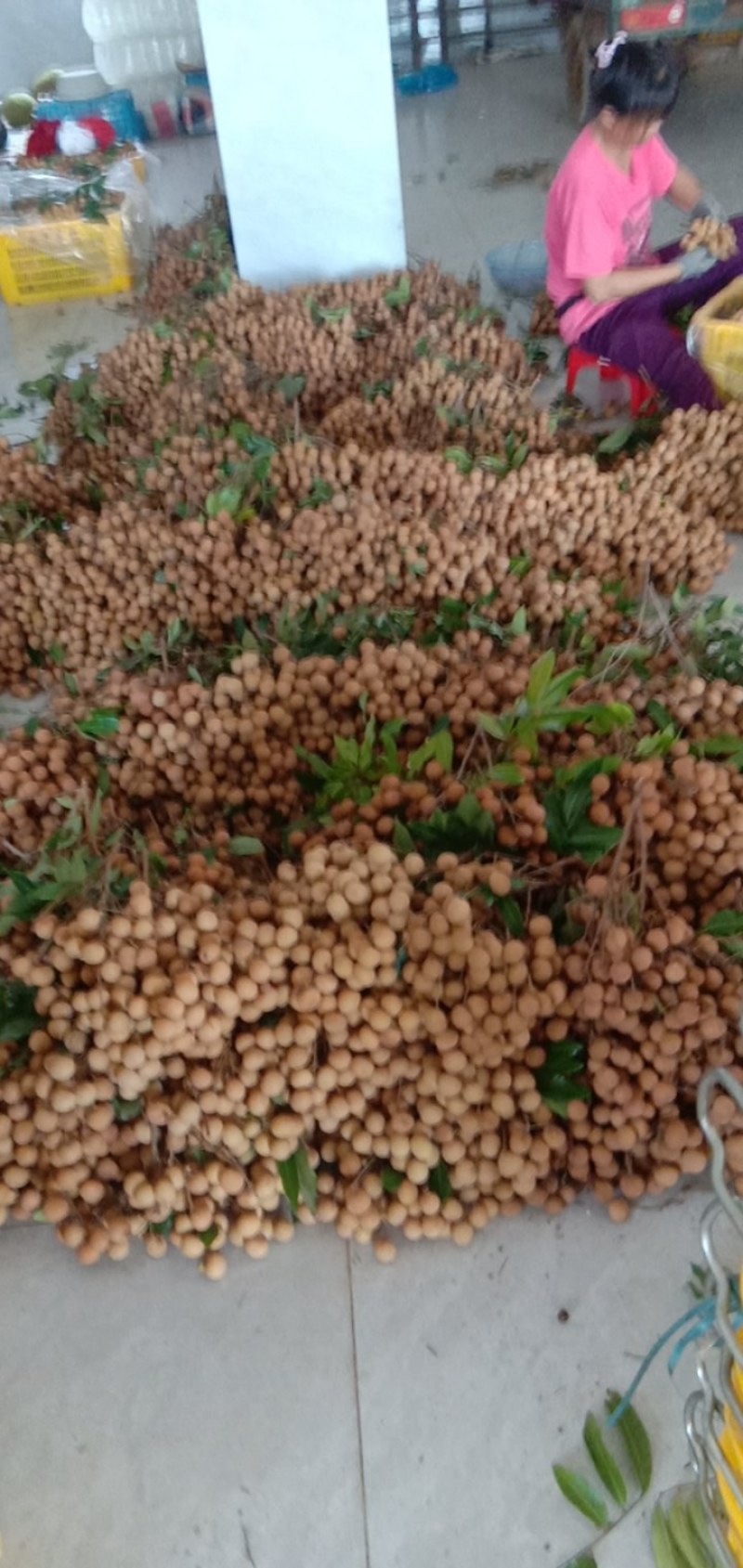 卖石硖，储良龙眼，产地直供，质量保证。