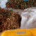 卖石硖，储良龙眼，产地直供，质量保证。