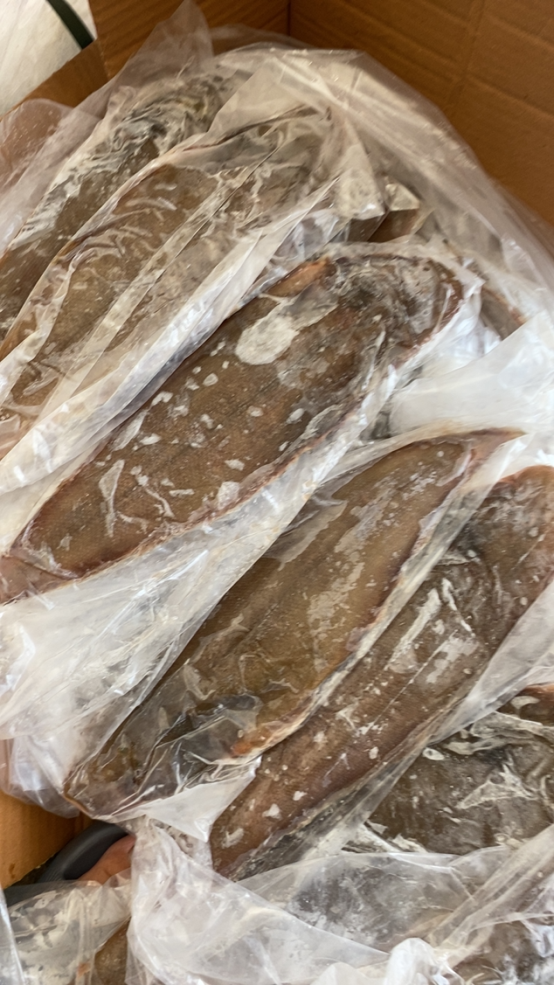 鲜冻龙利鱼舌头鱼踏板鱼鳎目鱼单冻比目鱼海鱼