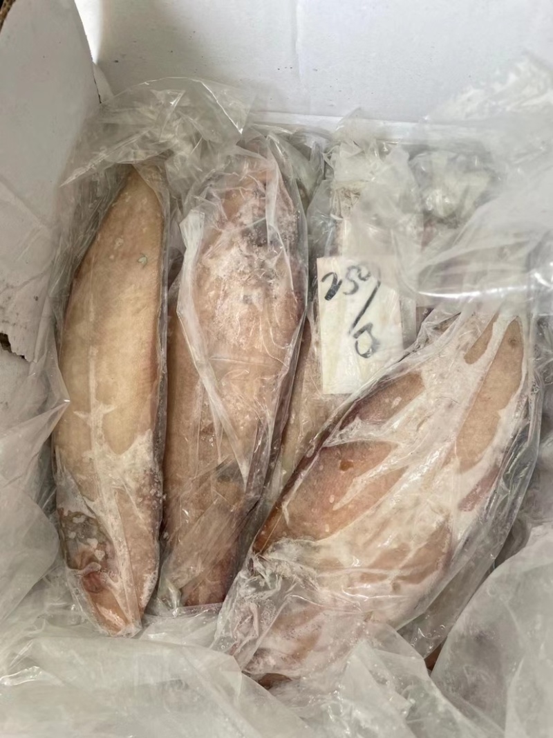 鲜冻龙利鱼舌头鱼踏板鱼鳎目鱼单冻比目鱼海鱼