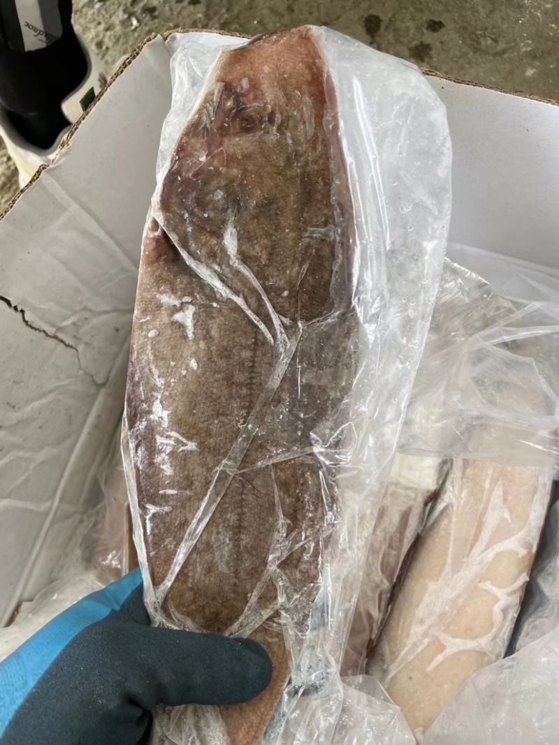 鲜冻龙利鱼舌头鱼踏板鱼鳎目鱼单冻比目鱼海鱼