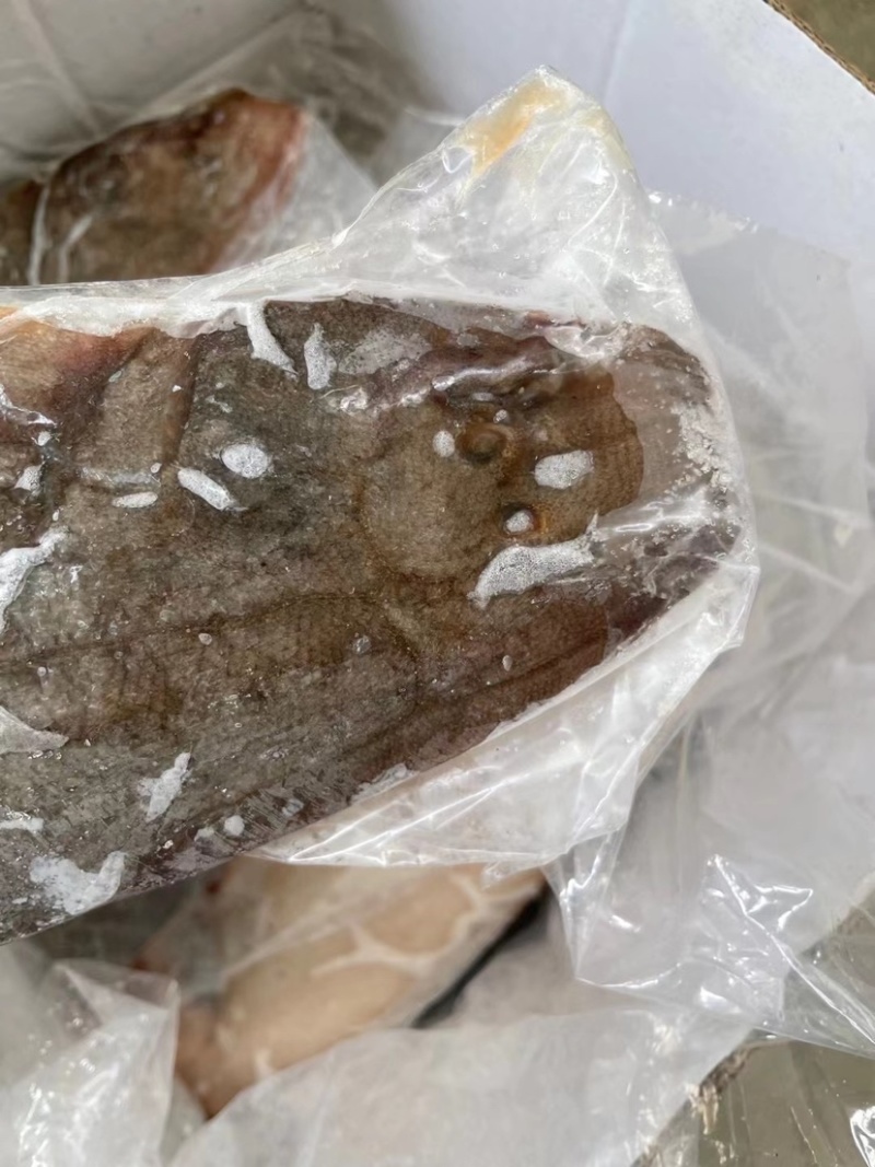 鲜冻龙利鱼舌头鱼踏板鱼鳎目鱼单冻比目鱼海鱼