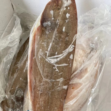鲜冻龙利鱼舌头鱼踏板鱼鳎目鱼单冻比目鱼海鱼