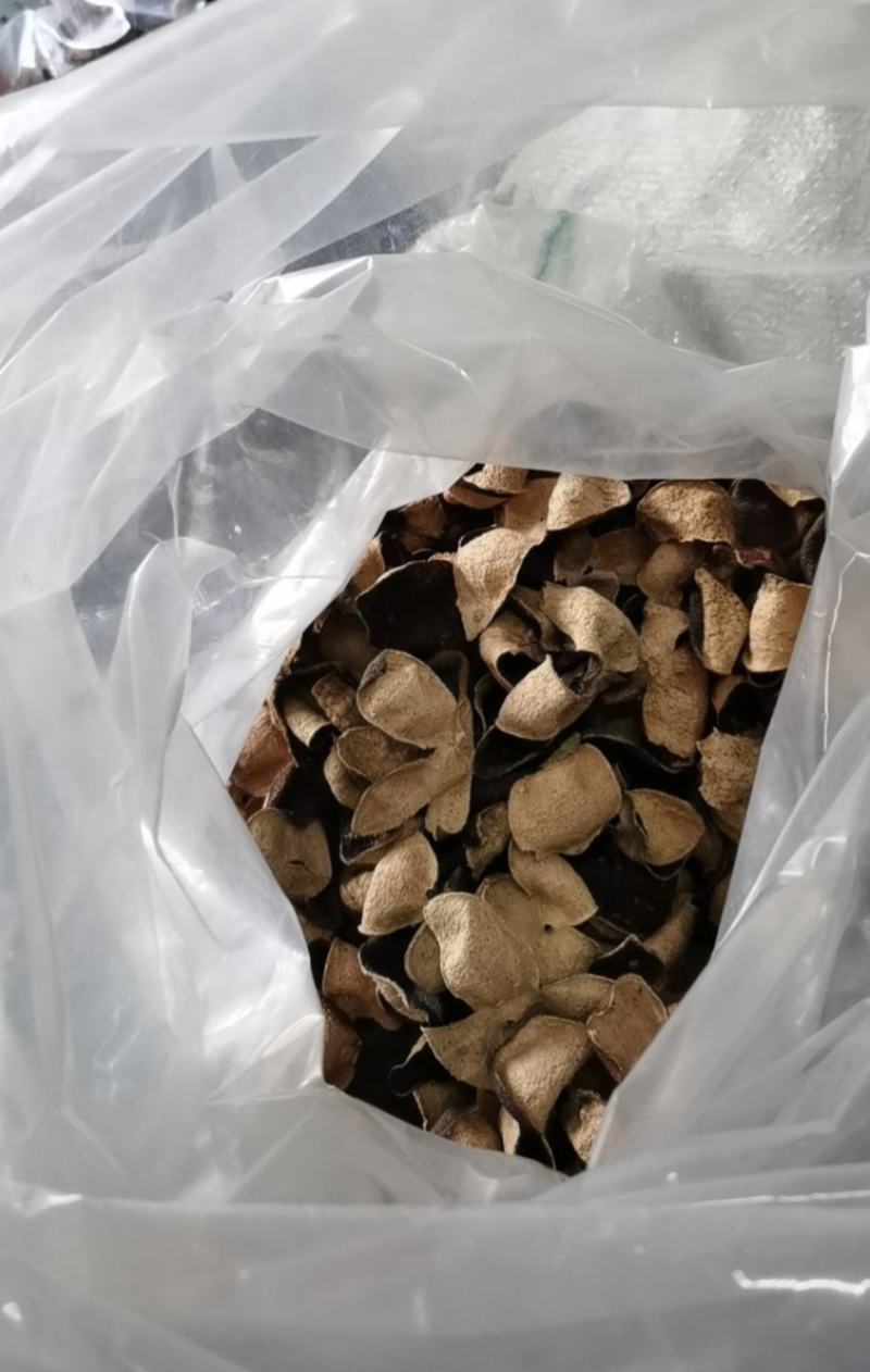 厂家新会核心区陈皮，东甲梅岗天马大红五年十年大红陈皮