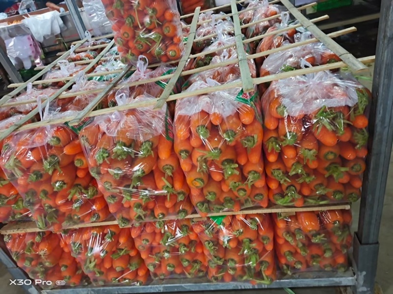 榆林靖边胡萝卜🥕大量上市中，电商，出口，