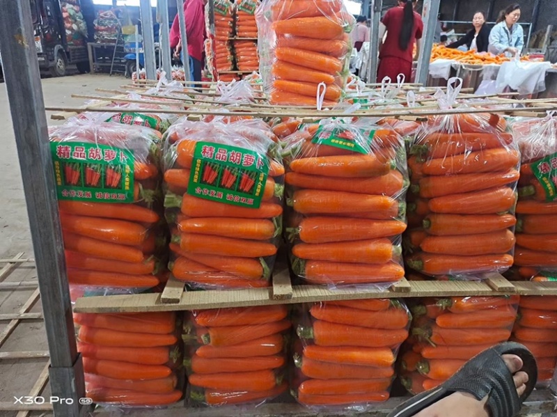 榆林靖边胡萝卜🥕大量上市中，电商，出口，