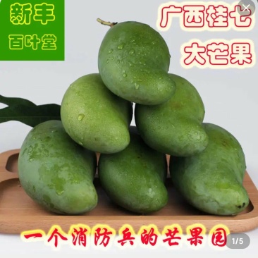 广西桂七芒果应季水果个大肉甜现摘现发支持代发批发货源充足
