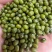大绿豆新货精选无铁豆质量好价格美丽量大从优