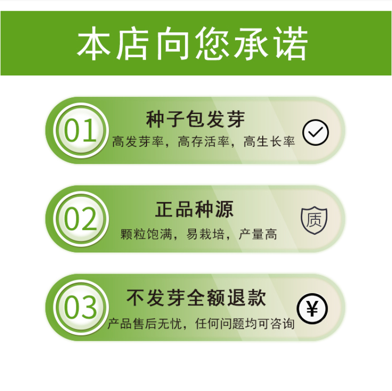 紫茉莉种子盆栽室外庭院四季易种地雷花籽夏秋开花易活种子