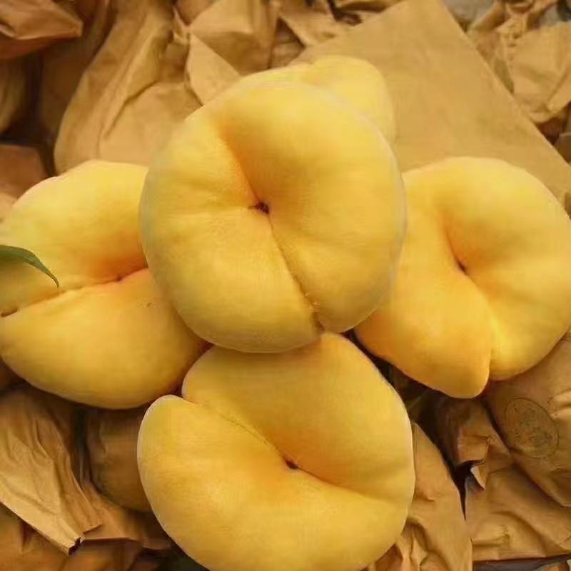 黄桃，纸代精品黄蟠油蟠大量上市高糖度脆甜桃