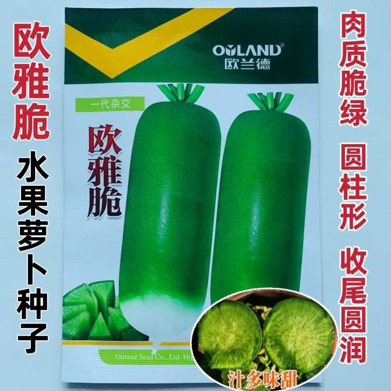 高产四季萝卜欧雅脆水果萝卜种子杂交一代青皮绿肉萝卜种子