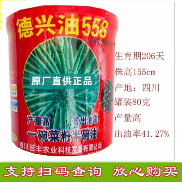 油菜种子德兴油558高产高出油榨油菜籽油菜花耐寒蔬菜