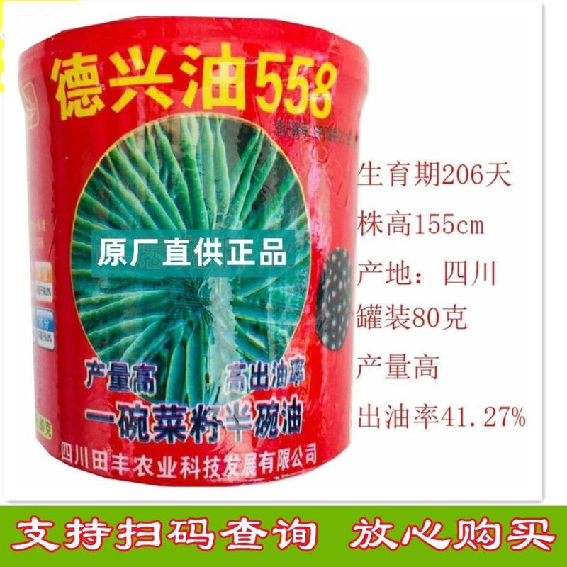 油菜种子德兴油558高产高出油榨油菜籽油菜花耐寒蔬菜