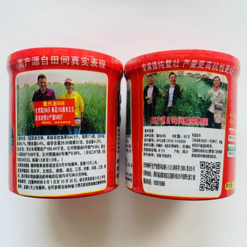 油菜种子德兴油558高产高出油榨油菜籽油菜花耐寒蔬菜