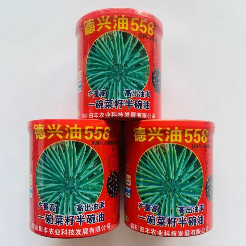 油菜种子德兴油558高产高出油榨油菜籽油菜花耐寒蔬菜