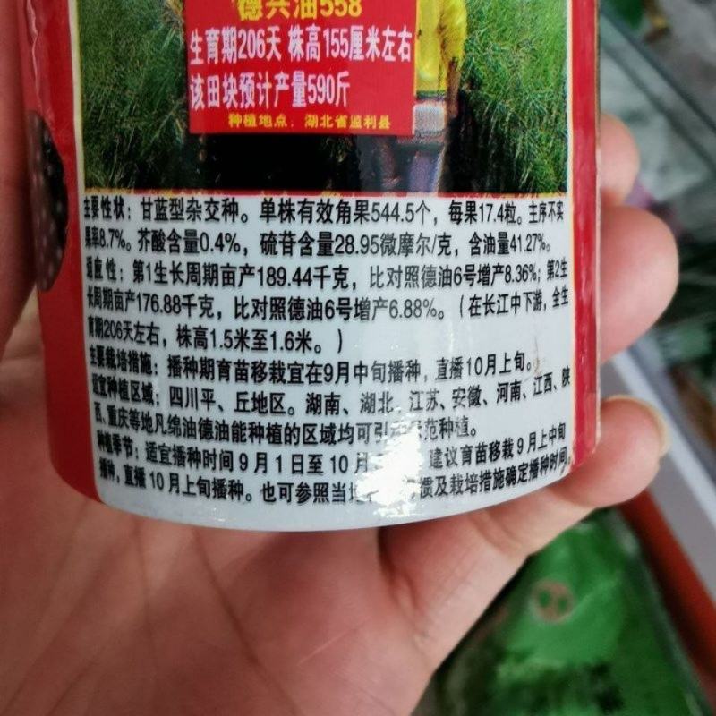 油菜种子德兴油558高产高出油榨油菜籽油菜花耐寒蔬菜