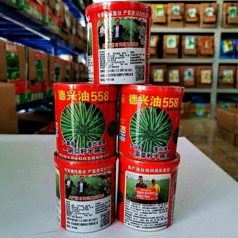 油菜种子德兴油558高产高出油榨油菜籽油菜花耐寒蔬菜