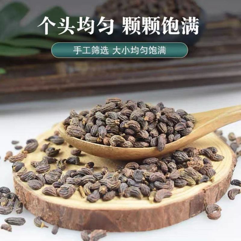 正宗女贞子冬青子野生四川女贞子精选中药材冬青籽泡茶女贞子