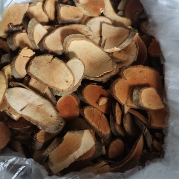 野生藤杜仲大量批发