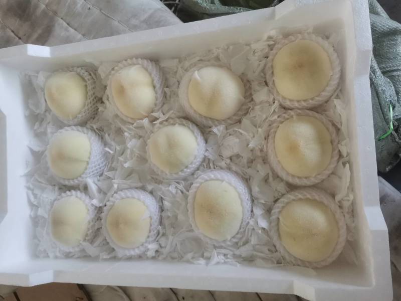白桃销售