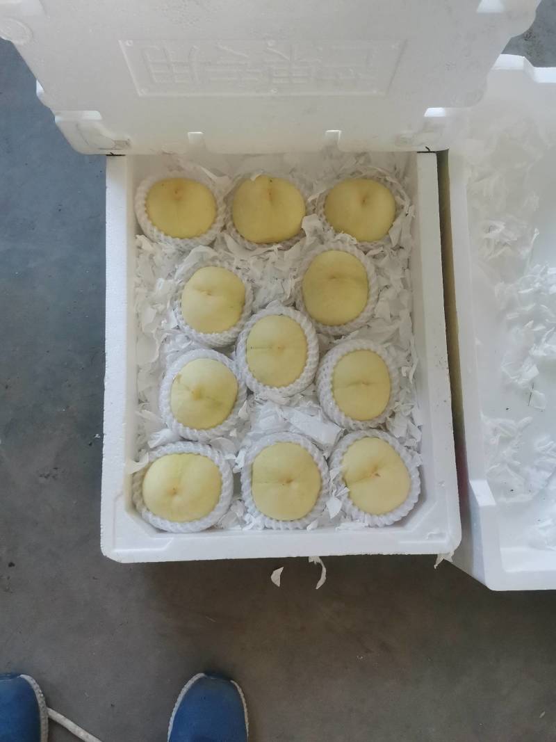 白桃销售
