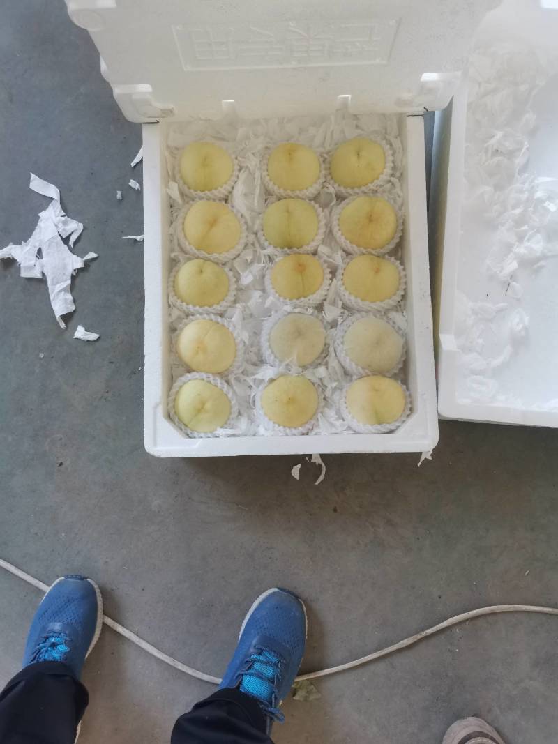 白桃销售