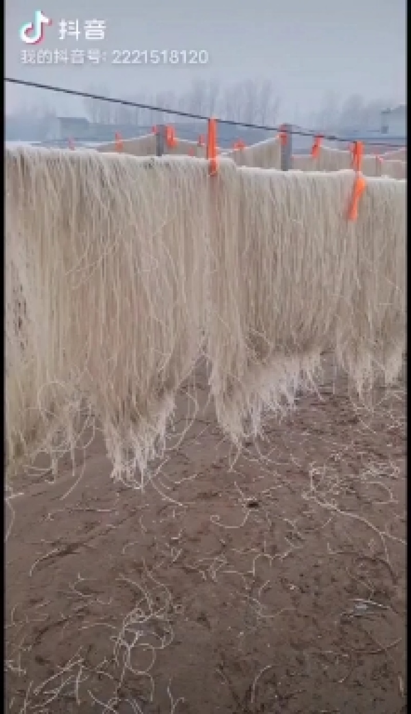 红薯粉条