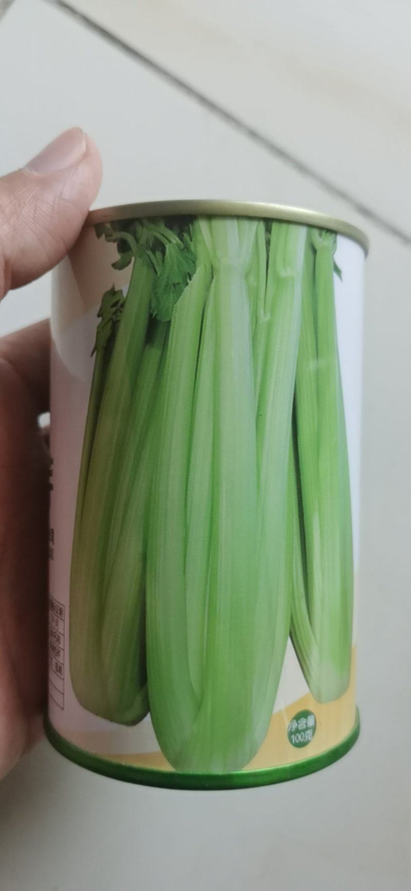 美洲西芹种子中熟长势强耐寒产量高纤维少基地种植