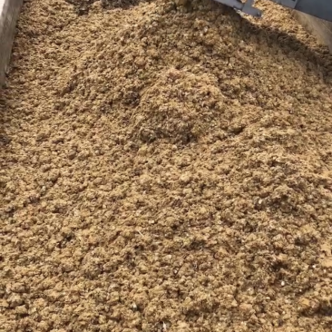 新鲜纯鸡粪