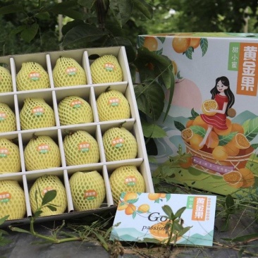 钦蜜9号黄金百香果礼盒3斤特大果，产地直发顺丰快递
