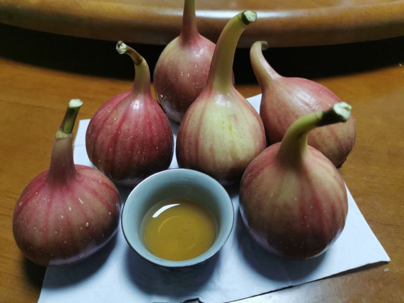 波姬红无花果大量上市