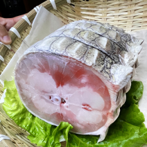 鳄鱼尾巴肉肥瘦相间定期屠宰保证新鲜欢迎合作