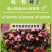四季海棠种子室内阳台盆栽庭院四季常绿植物易种春秋花籽