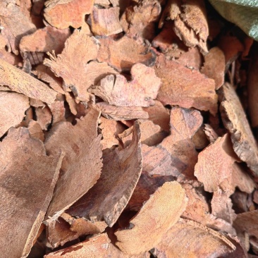 云南野生土茯苓干片干品土茯苓野生药材土茯苓农家硬饭头