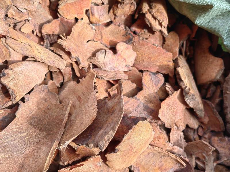 云南野生土茯苓干片干品土茯苓野生药材土茯苓农家硬饭头
